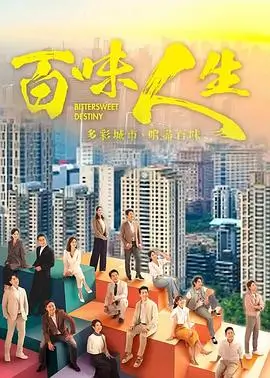 城中之城2 剧集在线观看海报